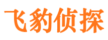 榕城市侦探调查公司